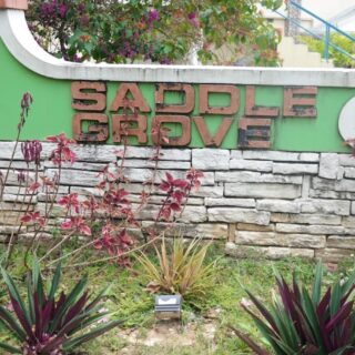 Santa Cruz, Saddle Grove