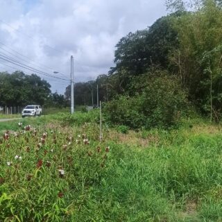 📍5 Acres of Land E.M.R. Sangre Chiquito, minutes away from beach – 💝A developer’s dream!