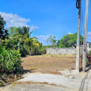 Flat land for Sale in Arima with Drawings