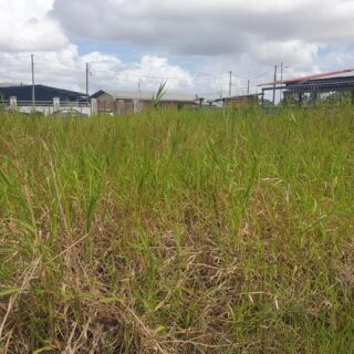 Land for Sale in Chandernagore Chaguanas