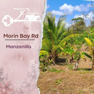 Agricultural Land, Morin Bay, Manzanilla