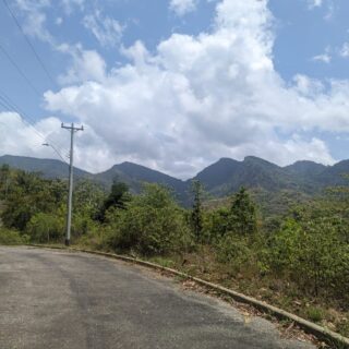 Large residential plot available in Maracas Valley