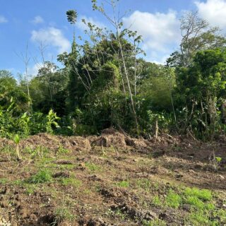 🛎🛎FOR SALE: LAND ONLY🍃: 📍Road Reserve, off Wallace Road, Torrecilla Gardens, Arima📍