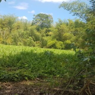 Gran Couva Land For Sale