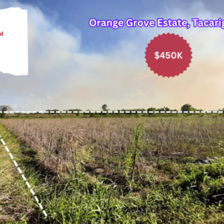 Agricoltural Land – Orange Grove Estate, Tacarigua