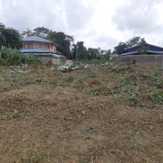 Sangre Grande Land For Sale