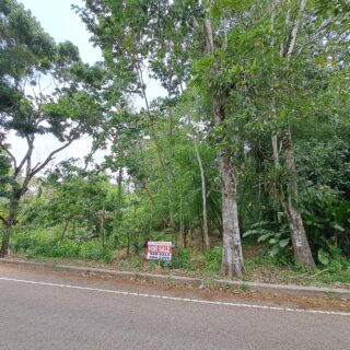 Flanagin Town, Caparo Land for Sale