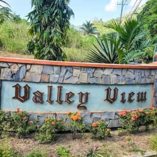 🌿 Dream Land for Sale in Valley View, St. Joseph! – $850,000.00 🌿