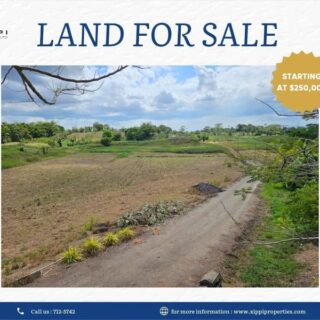 5000 sqft of Leasehold Land for SALE -Las Lomas -$250k