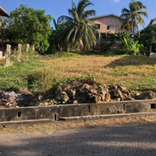 Mayaro Freehold Land for Sale in beautiful residential  area