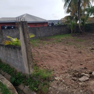 Land with a SEA VIEW-Point Fortin -$475K