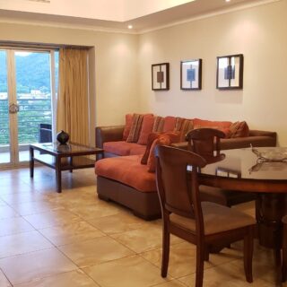 One Woodbrook Place  Tower 1  11th floor apartment  For Rent -$15,000.