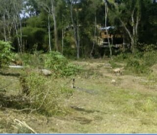 Land For Sale Glen Rd,Tobago