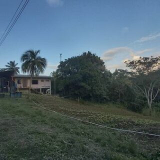 LENGUA TWO (2) 1 ACRE PARCEL OF LAND FOR SALE TOWN AND COUNTRY APPROVED