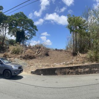 Flat Freehold Parcel of Land for sale in Glen Road, Scarborough