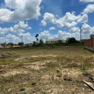 Land For Sale: Heritage Ext Road Cunupia
