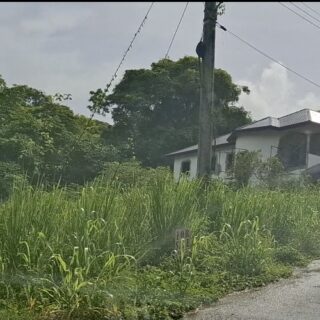 Land for sale at Windsor Heights, Arima – Gated Community!