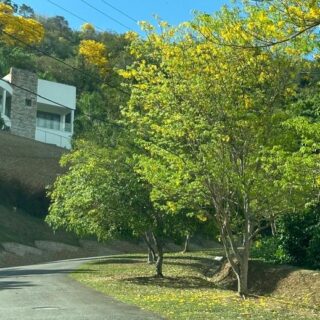 Residential parcel for sale in Maraval