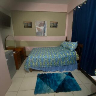 St. Ann’s Studio Apartment For Rent