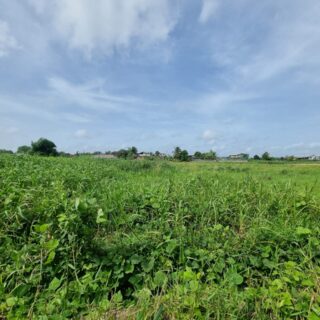 Approved Plots For Sale Gopie Trace Penal