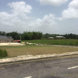 Ramatally Park, Fyzabad – Land for Sale – $650K