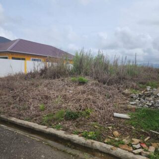 1 Lot of Caroni Land, Behind Cunupia Police Station $500,000 Neg