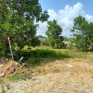 PRIME LOTS FOR SALE AT BROOKHAVEN, CHAGUANAS