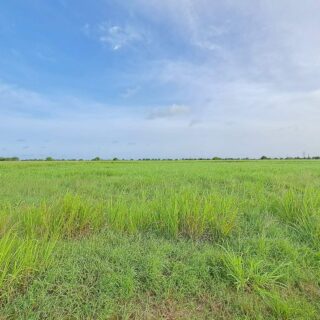 TWO(2) ACRES CARONI LEASEHOLD LAND FOR SALE