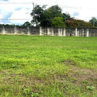 Land For Sale in Trincity