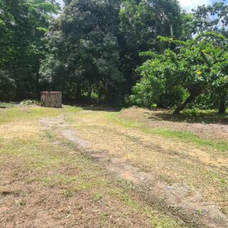 90 acres freehold land, surveyed with outline Approvals, Sangre Grande-Great Investment for Developers.