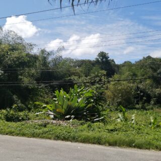3.7 ACRES LAND FOR SALE ON THE E.M. Rd, MANZANILLA.