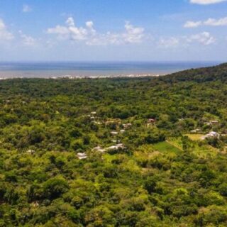 Manzanilla Land for Sale – 33 Acres