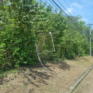 Shirvan Road, Tobago – Land for Sale (1 Acre)