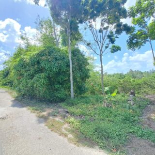 Ten Acre Parcel of Land, Solomon Knox Road / Lachoos Road, Penal