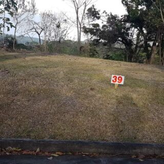 1/2 Acre Land Parcels For Sale In Scarborough, Tobago $1,000,000 Up