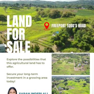 Freeport Land for Sale – Starting at $275,000