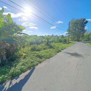 🏡 TABLELAND MANTACOOL ROAD FOUR(4) ACRES LAND FOR SALE