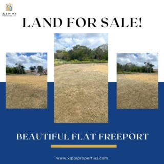 ⛰️‼️BEAUTIFUL FLAT FREEPORT LAND FOR SALE⛰️-$115 per sqft