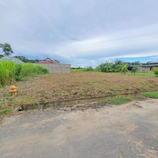 🏡FULLY APPROVED FLAT FREEHOLD LAND FOR SALE IN PENAL