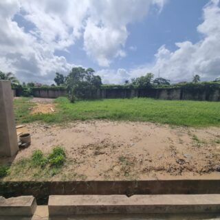 🔷Palm View Gardens Freeport Land for sale – 1.25M negotiable