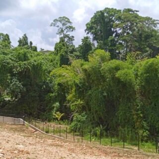 Land For Sale St. Augustine La Paz