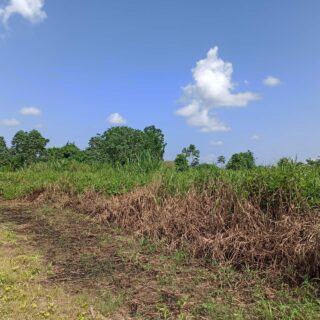 Piarco land for sale