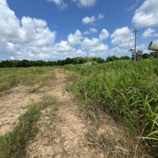 Land for Sale – Central Springs, Raphael Rd, Off Mission Rd, Freeport TT$450,000