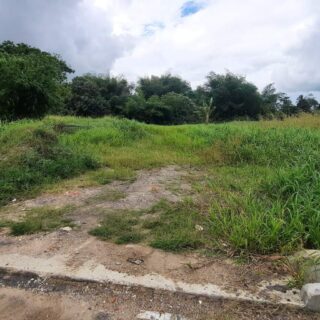 Cunupia Land for Sale