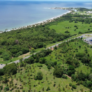 Diamond Estates Tobago – 67 Acres – Largest Freehold Property Available on SW Peninsular