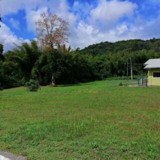 LAND SALE – PRIME RESIDENTIAL LAND SANTA CRUZ