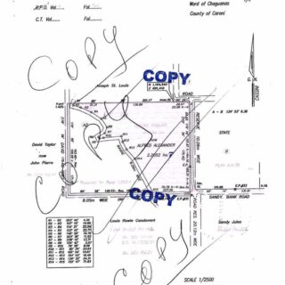 5.5 ACRES OFF RAGOONANAN ROAD, CUNUPIA