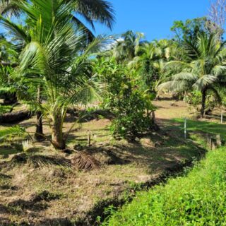 Rio Claro Land for Sale