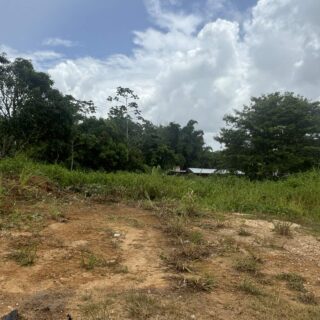 Residential Land – Penal