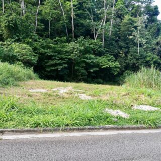 Land for Sale , Maracas Gardens, St. Joseph